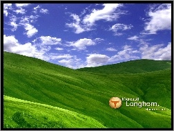 wzgórza, niebo, chmury, łąka, Longhorn, trawa